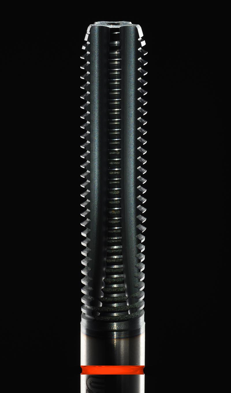 01.jpg